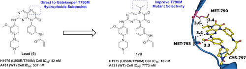 Discovery of Selective EGFR Inhibitors against L858R/T790M Resistance Mutation